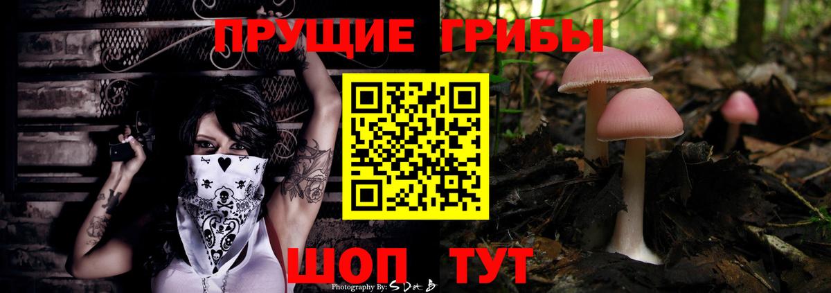 Псилоцибиновые грибы Cubensis Реутов