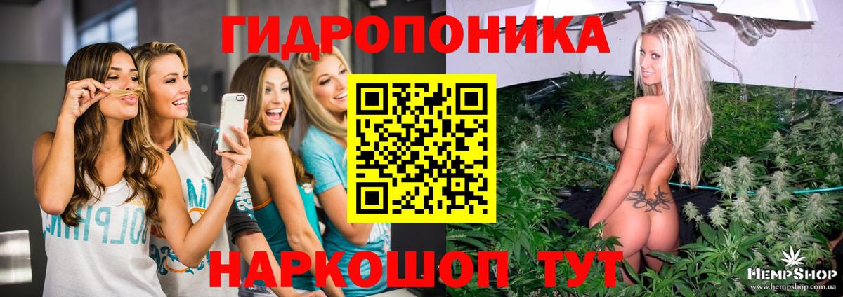 Канабис ГИДРОПОН Реутов